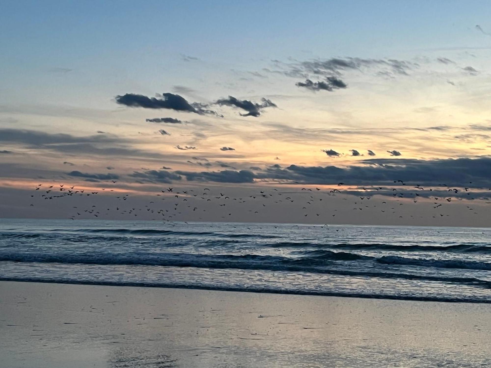 Chambre D Hote A La Plage De 15 M2 Le Manapany Camiers Exteriér fotografie